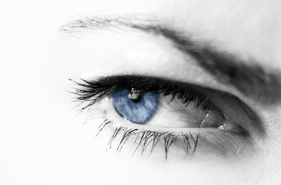 Yeux - 009