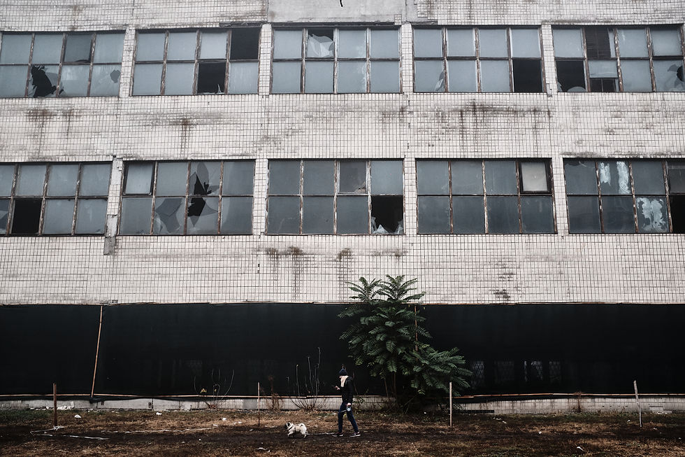 Žena venčí psa před starou budovou s rozbitými okny