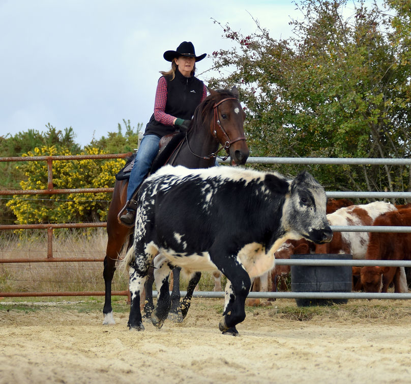 JFEU8056.JPG