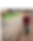 _42A0935_edited_edited_edited.png