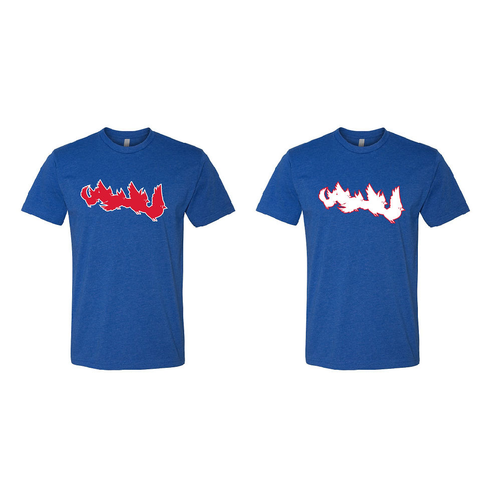 Thumbnail: Flying Cardinals - St. Louis Tee