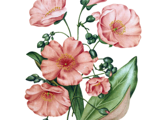 A Meditation on Finality: Albums About Death