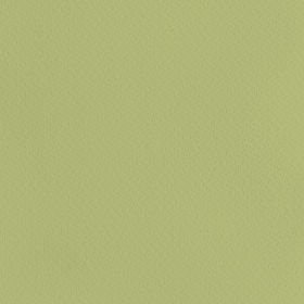 GREEN-paper-texture.jpg