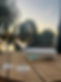 IMG_0339.jpeg