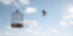 iStock-1317906535.jpg