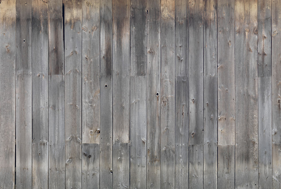 iStock-516036399.jpg