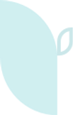 Leaf 08.png