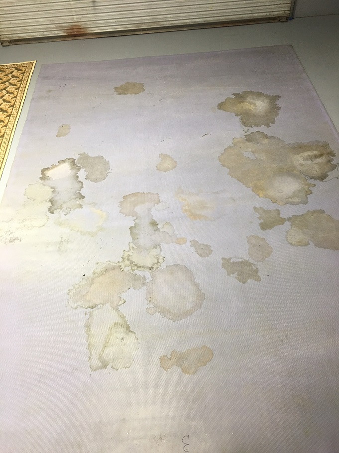 urine dog rug tell lot rugcleaning pad