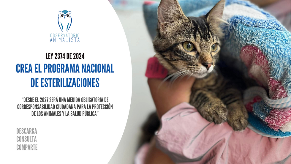 ley 2374 de 2025