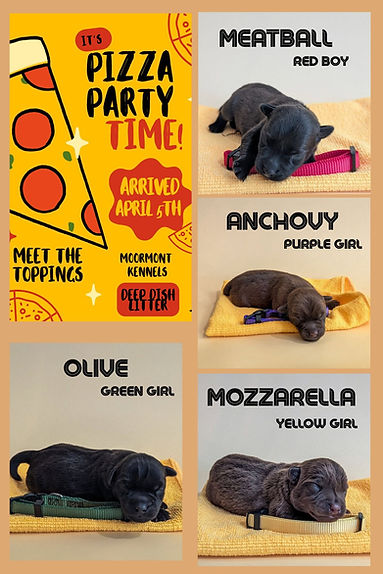 pizzaparty.wk0.jpg