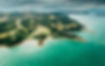 WaihekeIsland.jpeg
