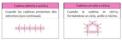images (1).png