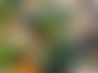 Free & Low-Cost Access to Healthy Food in Seattle