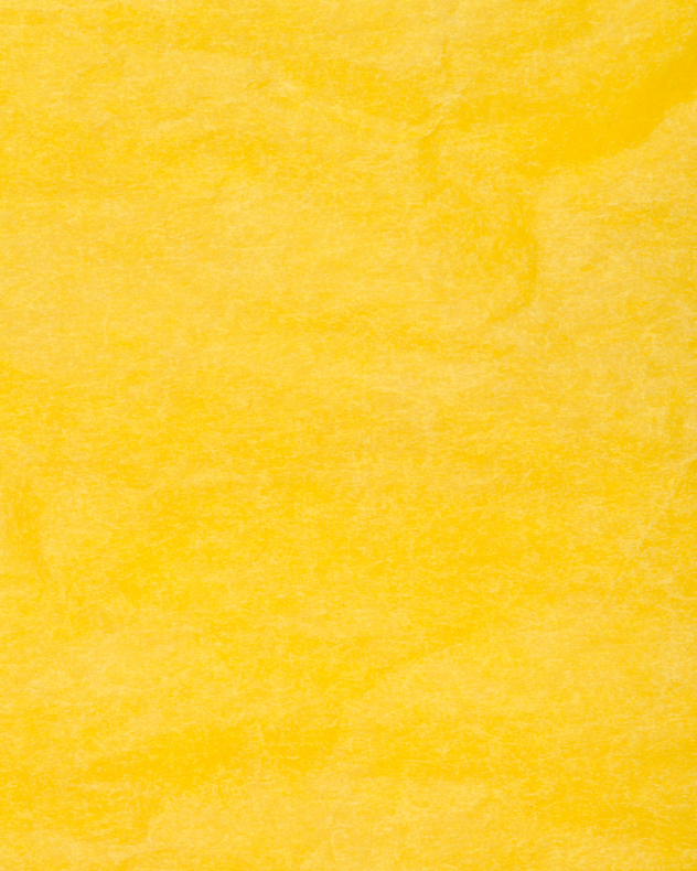 YELLOW PAPER.png