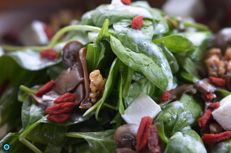 focused image of a salad