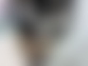 生後6ヶ月の男の子 里親さん募集中です!!(トライアル中です)