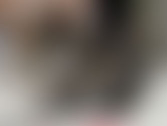 家族が決まりました!ご協力ありがとうございました。