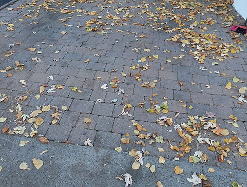 sanitation 1 avant.jpg