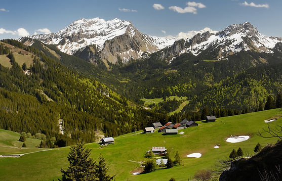 SDU_8366 - Copie.JPG