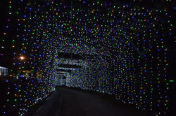 フラワーパーク視察25_20171210