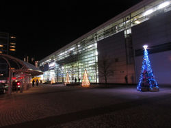 2015イルミネーション (12)