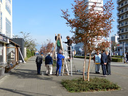 2018ｲﾙﾐﾈｰｼｮﾝ設置(駅前通り) (2)