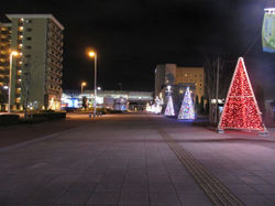 2015イルミネーション (26)