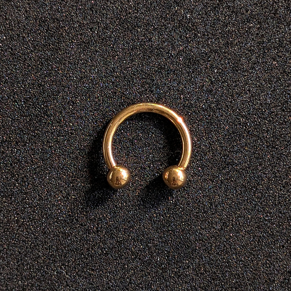Thumbnail: Plain Horseshoe - Silver
