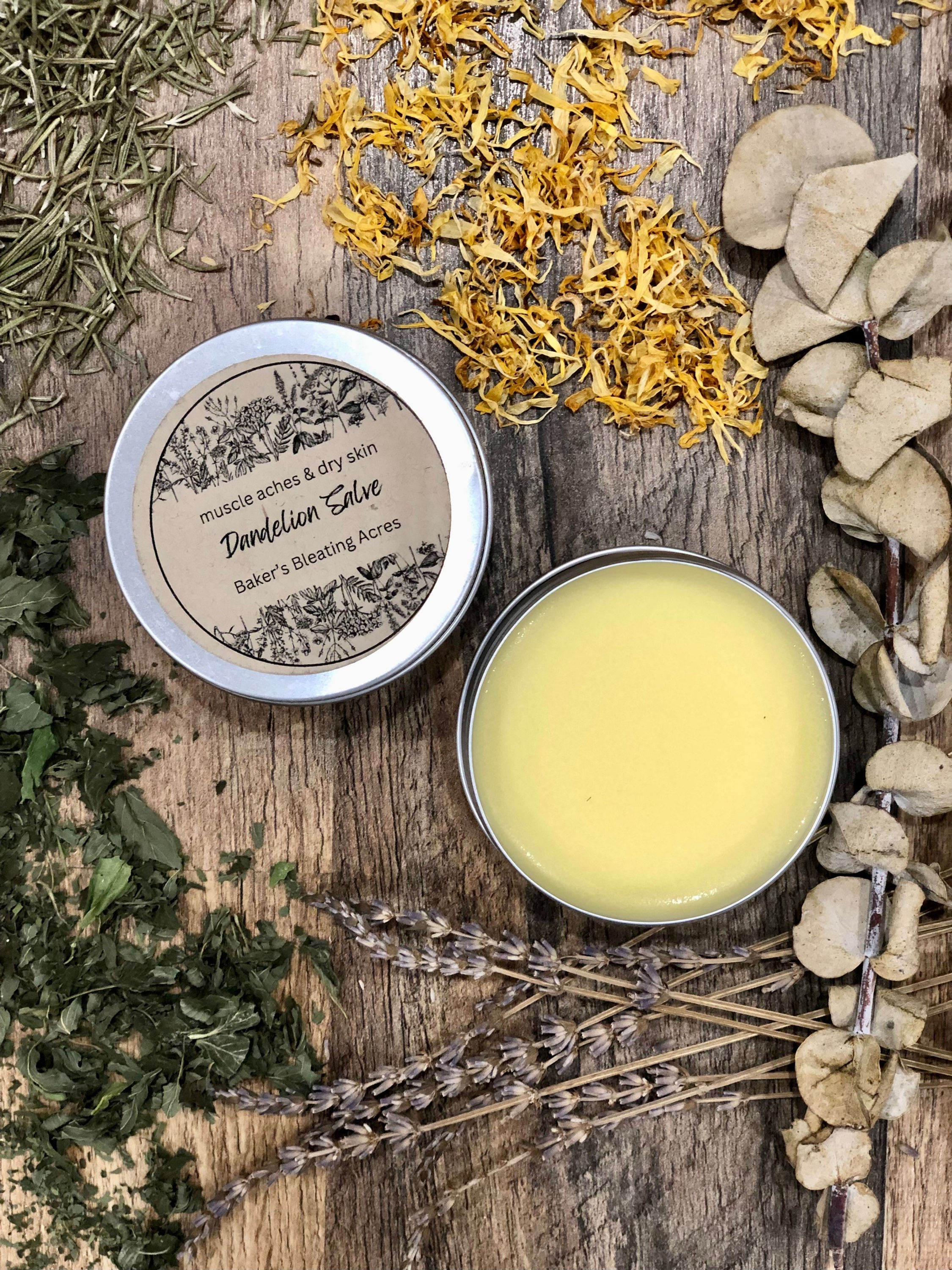 Dandelion Salve