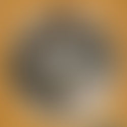 Седмичен Хороскоп - 11-ти - 17-ти Ноември, 2019 - Резултати Според Правилата.