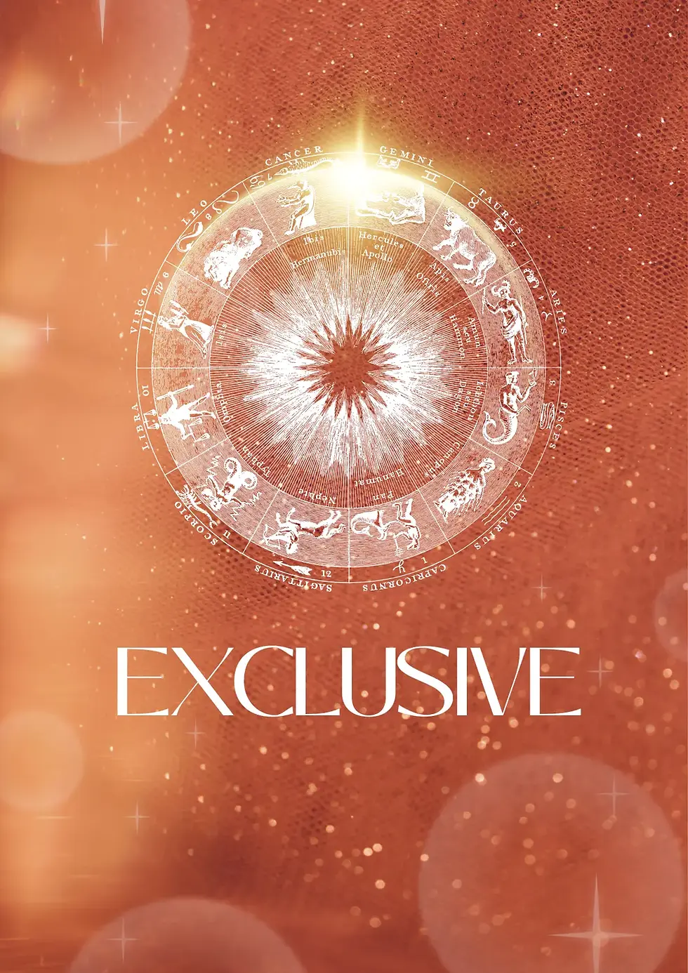 ексклузивни услуги