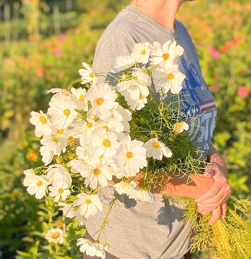 Barnwood Farms U-Pick flower bouquet in Waupaca