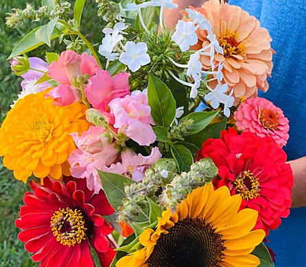 Fresh cut flower bouquet from Barnwood Farms U-Pick Flower Farm in Waupaca