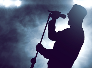 WEON NS-G120 | 3 Way Natural Sound Speaker System gives crystal clear vocal sounds