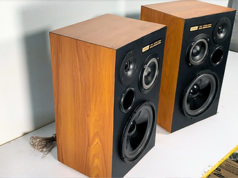 WEON NS-G120 | 3 Way Natural Sound Speaker System is ready to be used with amplifier