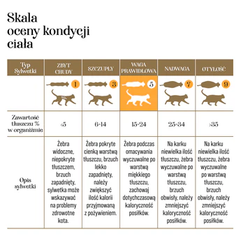Miniatura: Lizak 1 szt