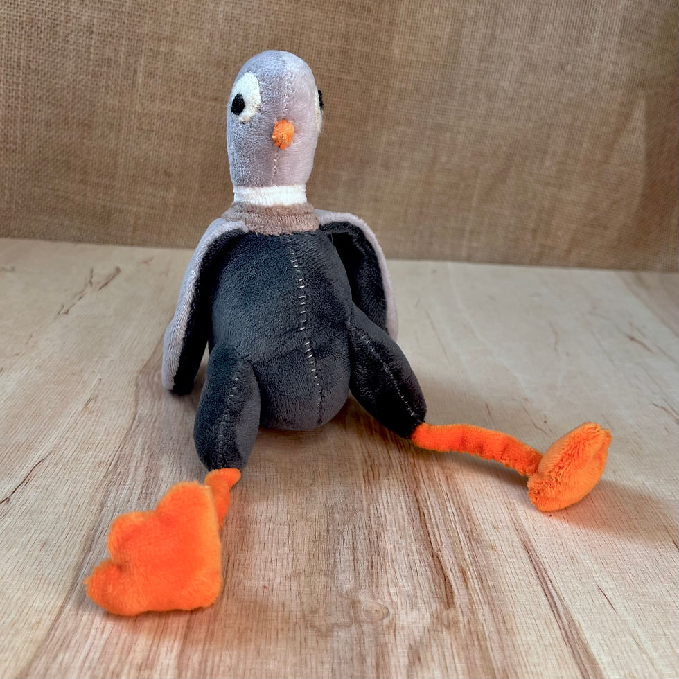 Miniatura: Walerianowy Gołąb Stefan