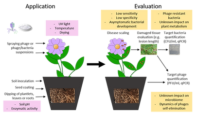 Fig1_schematic2.png