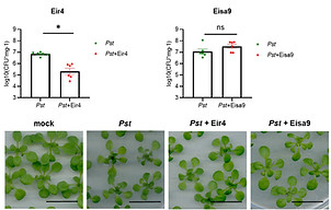 Figure 4_f.jpg