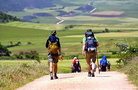 Copy of camino santiago.jpeg