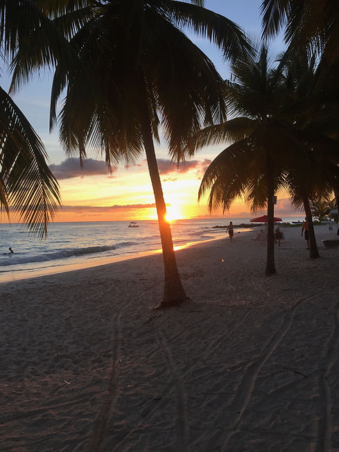beach sunset l.jpeg