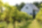 back of barn vineyard