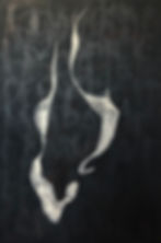 Circumflex2/SOLGT