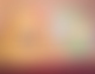 Burger, Bücher und Insekten