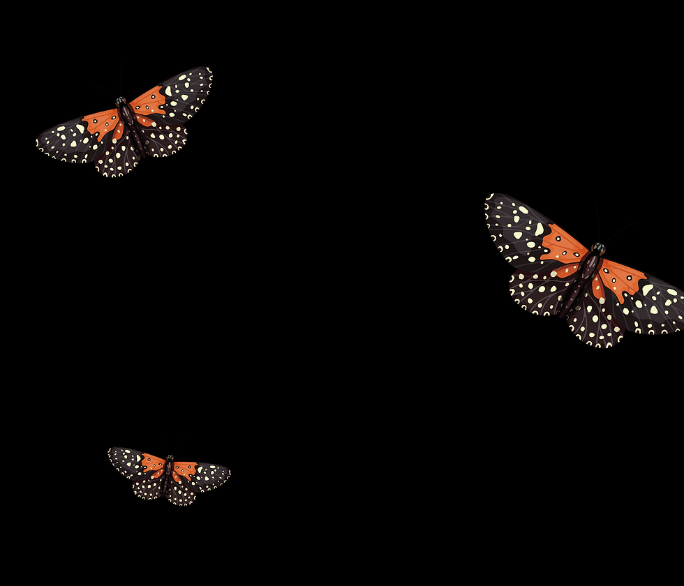 Untitled design (10).png