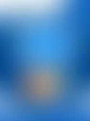 💰什麼是低價免稅限額 (De Minimis)?✨