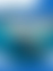 🚨遠洋線運價齊漲!SCFI指數終止四連跌📈