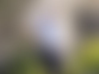     Max Kennedy has advanced to the final two rounds of the LIV Golf promotions after a second round 67