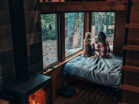 5 Easy Changes To Make Your Holiday Property Pet Friendly