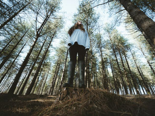 transformar metas em resultados ao longo do ano